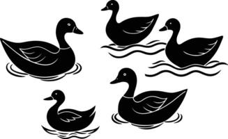 A group of Ducks Swimming In A River With Floating Illustration vector