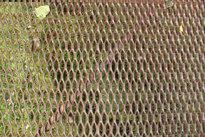 Fine mesh for bridge fencing. Ensuring security photo