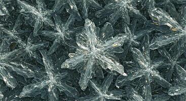 A close up of a bunch of snowflakes photo