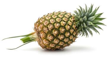A Single Pineapple With a Rough Spiky Exterior photo