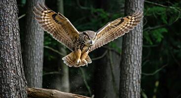 A large owl flying over a forest photo