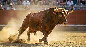 A bull running in a ring with a crowd watching photo