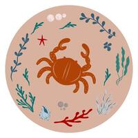 Crab surrounded by coral, starfish, algae, seaweed in a circle. Illustration in nautical style. vector