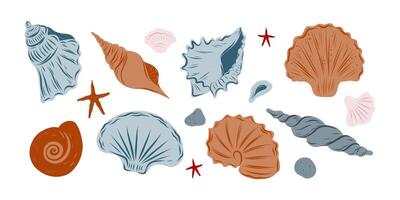 Seashells set, hand drawn seashells of different shapes and colors vector