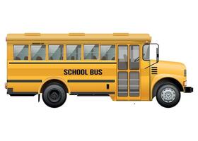 school bus for transporting children yellow color isolated on white background vector