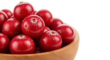 A Ripe Bunch of Cranberries With a Glossy Red Surface and a Slight Dew photo
