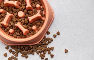 Slow feeder bowl preventing gulping and improving digestion photo