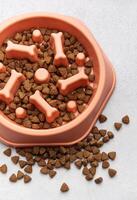 Slow feeder dog bowl preventing gulping and improving digestion on concrete floor photo