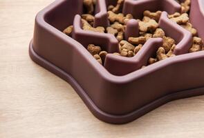 Slow feeder dog bowl star shape reducing bloating and improving digestion photo