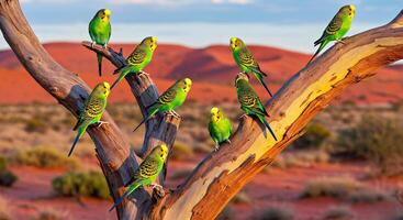 A group of birds sitting on a tree branch photo