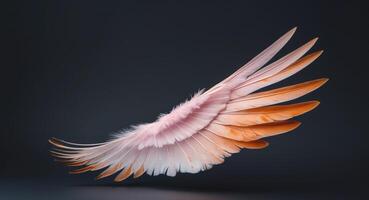 there is a pink and orange wing on a black background. photo