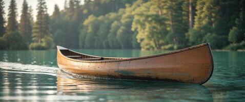 A canoe is floating on the water in front of trees photo