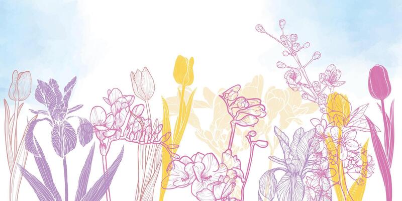 Abstract art background . Beautiful spring wallpaper with line art tulips, cherry blossoms, iris, fresia. Flowers on Watercolor background. Botanical illustration for banner, poster, Web