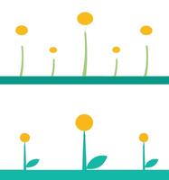 Minimalist Daisy Flower Flat Design Illustration vector