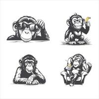 Fun Monkey with a Banana vector