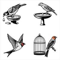 Singing Bird of Spring vector