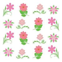 Pink Flower Collection Pattern Botanical Design Natural Elements Isolated White Background Decorative Use vector