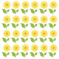 Sunflower Pattern Floral Design with Natural Elements Isolated on White Background Decorative Use vector