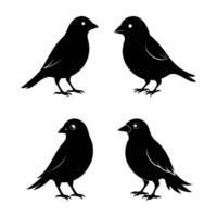 Silhouettes of birds perched on branches in a loving couple pose, featuring crows, pigeons, and a bullfinch on a white background vector