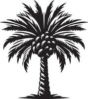 Black and white palm tree illustration with coconuts nature tropical summer design vector