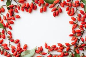 Goji berries on white background photo