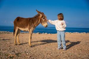 A little girl gently pets a donkey in the National Donkey Park on the northeasternmost cape of Northern Cyprus. Heartwarming connection between children and wildlife in a remote natural setting. photo