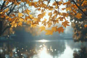 Beautiful Autumn Scene with Golden Leaves and Warm Sunshine Perfect for Nature Lovers and Travel Enthusiasts photo