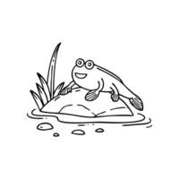 A mudskipper resting on a rock near a small stream vector