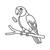 Macaw perched on a tree branch holding a peanut vector