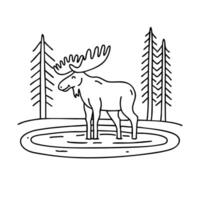A moose standing in a shallow river, surrounded by tall trees vector