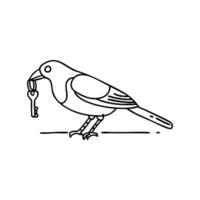 Magpie pecking at a small key lying on the ground vector