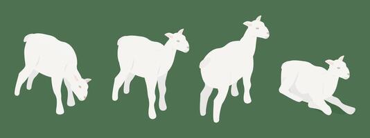 Pack of Four Lambs in Isometric Perspective - Easy to Rearrange vector