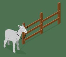 Colt Tied to a Fence in Isometric Perspective vector