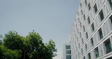 The facade of Recoletos 37 on a summer day. The tree grows next to the building, view from below, urban architecture video