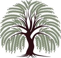 Graceful Weeping Willow Tree With Roots vector