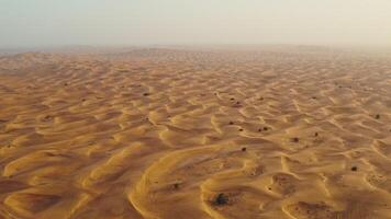 The desert is dotted with sand dunes, with trees seen in the far distance video