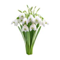 white snowdrops in a vase on a transparent background png
