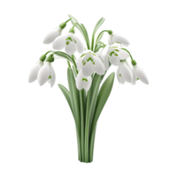 Dark Green bouquet of snowdrops on a transparent background png