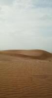 A sand dune in the middle of a desert video