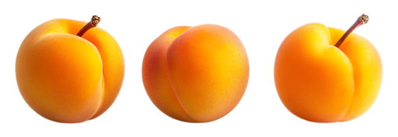 three different types of apricots on a transparent background png