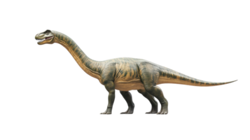 Realistic representation of a dinosaur walking on a white background showcasing its massive body and long neck png