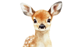 Cute young deer with large eyes and distinctive spots looking curiously towards the viewer against a plain background png