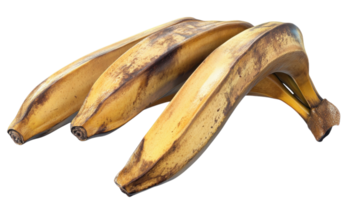 Freshly picked ripe bananas displayed on a white background showcasing their vibrant yellow color and natural texture png
