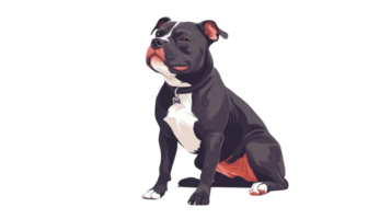 Black and white dog sitting proudly, showcasing its playful and friendly demeanor in a stylized portrait png