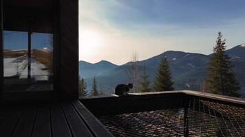 Cat relaxing on a wooden terrace with a stunning mountain view, cozy atmosphere with soft sunlight and scenic nature video