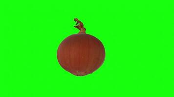 Realistic 3D rendering of an onion with green background video