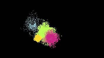 Colourful holi powder explodes in the air. Flat loop animation without background. video