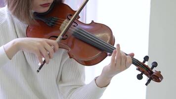 Woman violinist plays with professionalism. Master fiddler string performance, orchestral skill video