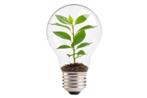 Soil-rooted green sapling enclosed in a bulb, creatively merging environmental awareness and technological innovation png
