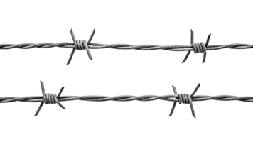 Parallel lines of gray barbed wire stretch horizontally, evenly spaced spines and coiled knots conveying an organized yet restrictive presence png